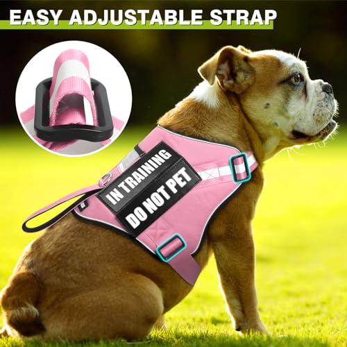 Service Dog Harness and Leash Set (X-Small / Pink)
