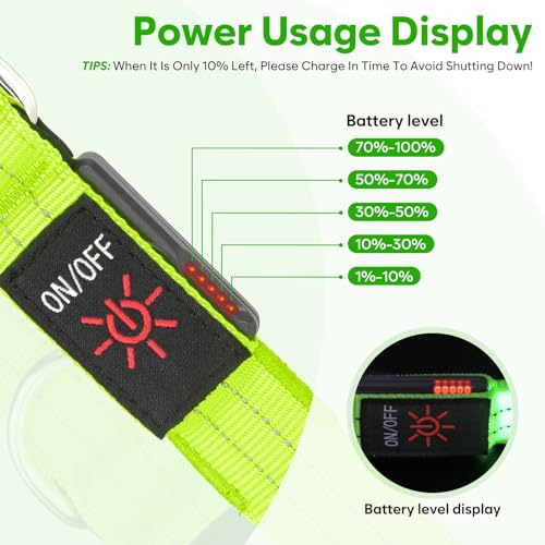 LED Dog Leash (Green)