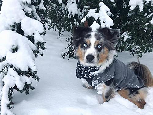 Stretch Fleece Vest Dog Sweater (XX-Large Length (18.5") / Gray)