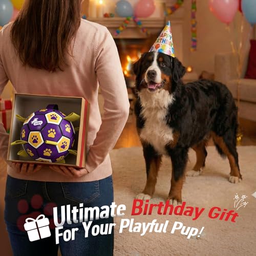 Extra Large Dog Toy Soccer Ball (Purple Yellow / 9 Inch)