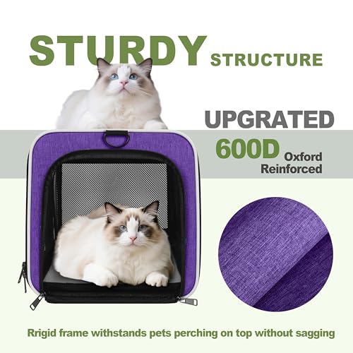 Pet Carrier for Cat 18x11x11 Inch (Purple / 18.0"L x 11.0"W x 11.0"H)