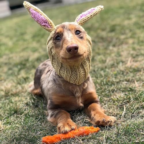 Jack Rabbit Costume (Small)
