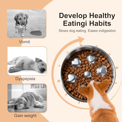 2 Pack Stainless Steel Slow Feeder Dog Bowls