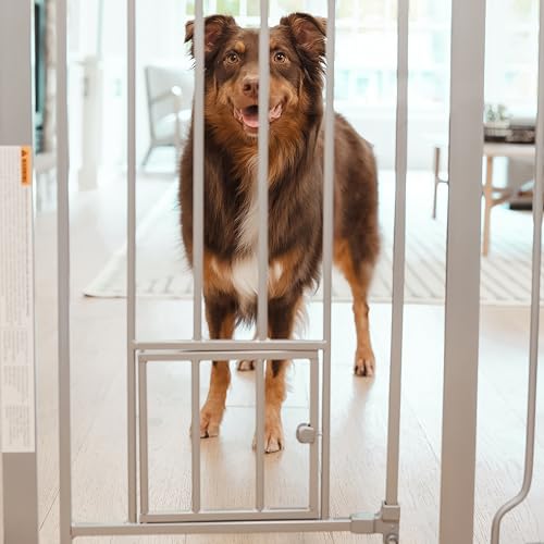 Carlson 36" Extra Tall Walk Through Dog Gate for Doorways & Bottom of Stairs (Platinum / 29.5-36.5" W x 36" H)