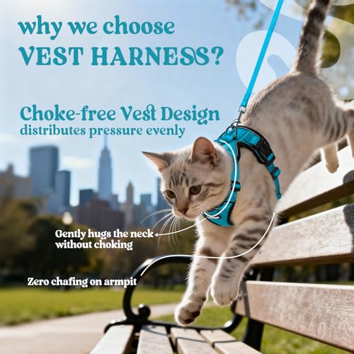 Cat Harness and Leash Set (Xxs / Teal)