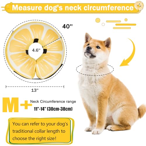 Inflatable Dog Cone Collar for Large Medium Small Dogs (Lemon / M+（neck 11"-14"）)