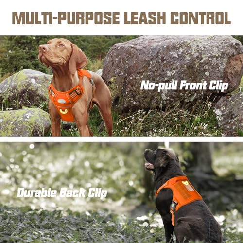 Tactical Dog Harness Medium Sized Dog No Pull Adjustable Dog Vest (Orange / M(Neck:16-22",Chest:22-33"),35-50 lbs)
