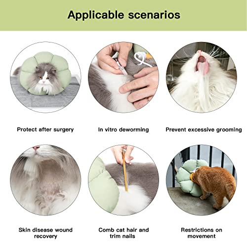 Cat Cone Collar (Small / Green Flower)