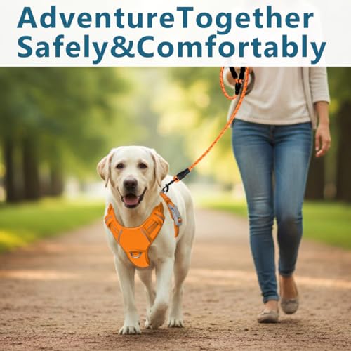 No Pull Dog Harness for Large Dogs (Large(Chest:24.5-32.5") / Pumpkin-Oxford)