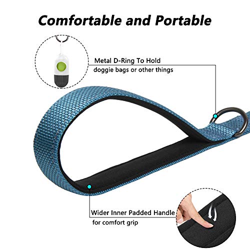 5FT Heavy Duty Dog Leash with Soft Padded Double Handle (5 FT x 1 in Wide / Blue)