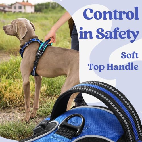 Dog Harness Medium Sized (Medium / Blue)