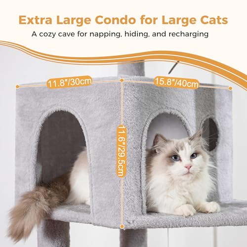 53”Cat Tree with Hammock & Extra Large Bed 23x12” for Large Cats (XLarge-53" / Gray)