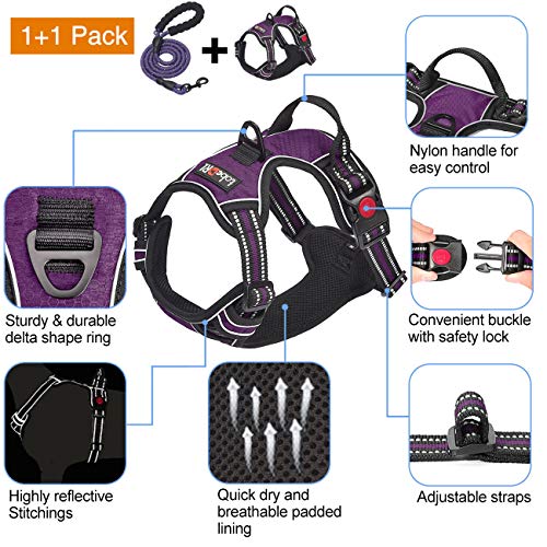 No Pull Dog Harness Adjustable Reflective Oxford Easy Control Medium Large Dog Harness with A Free Heavy Duty 5ft Dog Leash (Purple / Medium)