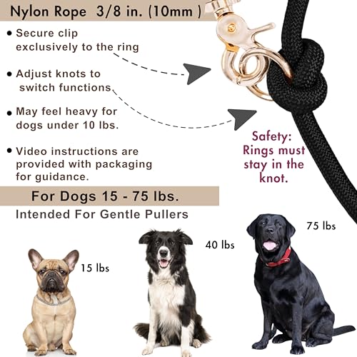 Hands Free Dog Leash (Black / 8.2 ft x 3/8 in)