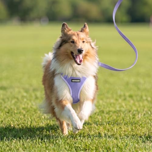 Voyager Step in Air All Weather Mesh Harness and Reflective Dog 5ft Leash Combo with Neoprene Handle (Lavender / XXXS (Chest: 11 - 12"))