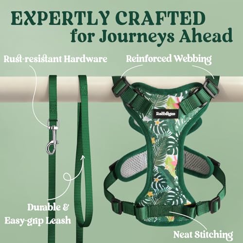 Cat Harness and Leash Set (M / Rainforest Green)