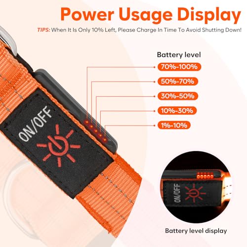 LED Dog Leash (Orange)