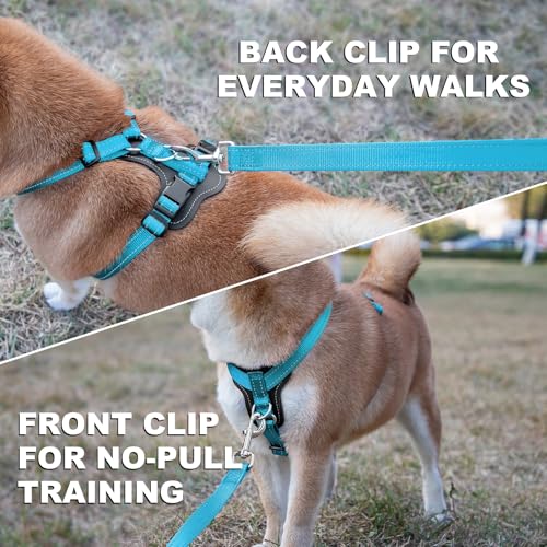 No Pull Dog Harness with Leather Accents (M / Light Blue)