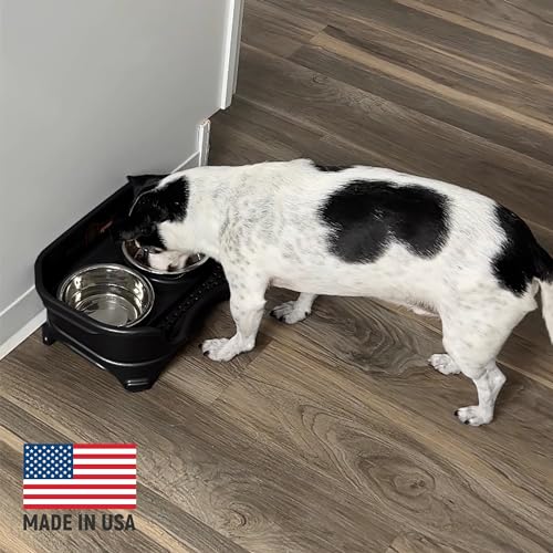 Express Mess Proof Dog Bowls Elevated for Small Breeds Under 15 Lb (Small w/ Standard Bowls / Midnight Black)