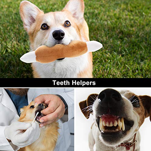 Dog Squeaky Toys (12 PCS)