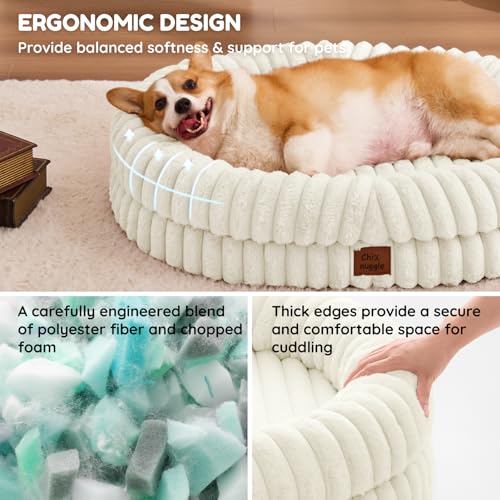Orthopedic Dog Bed (Cream / L(35*28*7))
