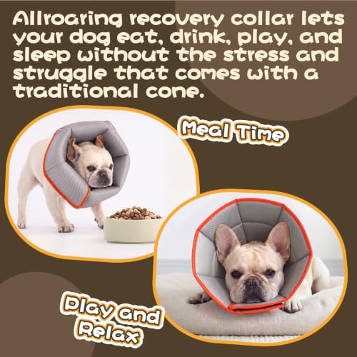 Dog Cone Collar Soft Cone for Medium Dogs After Surgery Adjustable Elizabethan Collar for Dogs to Stop Licking Wounds (Red / M(Neck Girth:11.02"-14.17"))