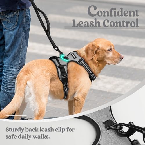 Dog Harness No Pull for Small Dogs with 2 Leash Clips (Small / Gray)