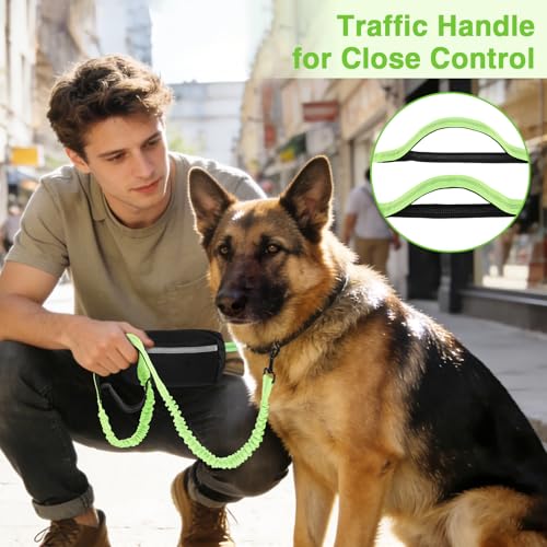 Hands Free Dog Leash with Zipper Pouch (Green)