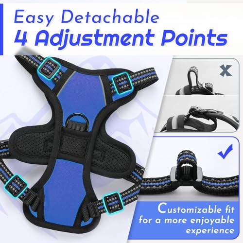 Dog Harness for Small Dogs (X-Small / Blue)