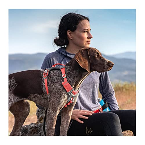 Journey Air Dog Harness (X-Large / Coral)