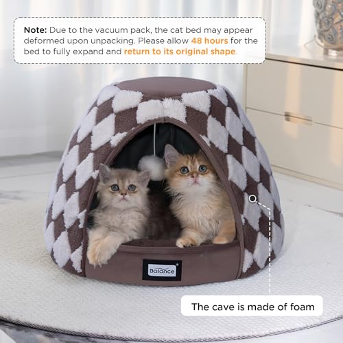 Cat Beds for Indoor Cats (21"L x 21"W x 16"Th / Dark Brown)