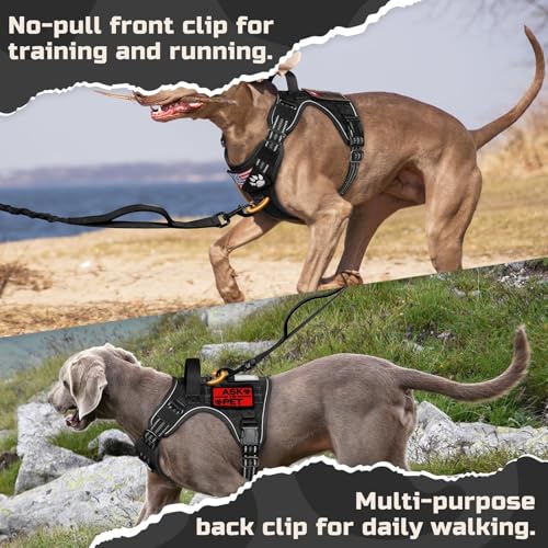 Tactical Dog Harness for X (Black / X-Large)
