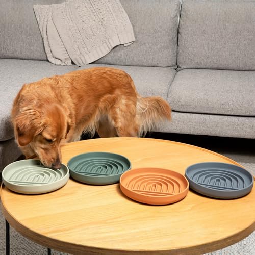 Slow Feeder Dog Bowl (Terracotta - Rainbow Design / Large (9.5” Across and 1.5” Tall))