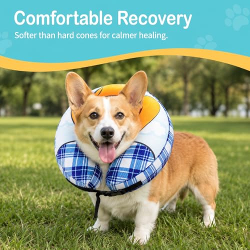 Inflatable Cowboy Dog Cone Collar (M+(Neck 13"-14.9"))