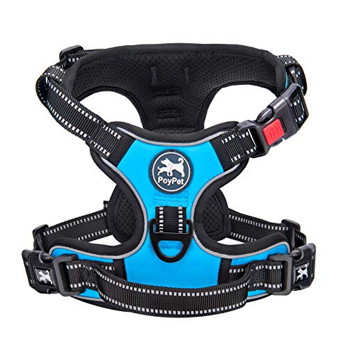 No Pull Dog Harness Large with Front Clip & Neck Release Buckle (XL / Blue)