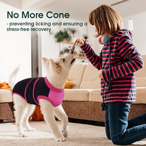 Dog Recovery Suit (Black / Small)