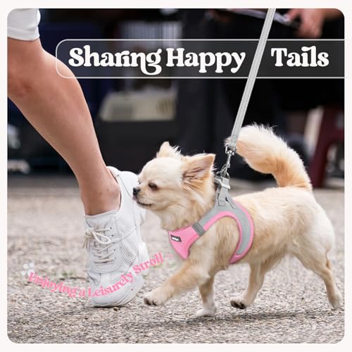 Dog Harness Small Sized and Leash Set (Light Pink & Gray / S (chest: 15.1 - 16.5"))