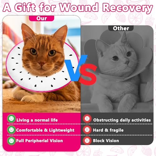 Cat Cone Collar Soft (Dragonfruit / Large)