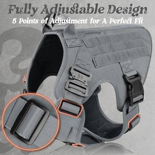 Tactical Dog Harness for Small (Grey / Small)