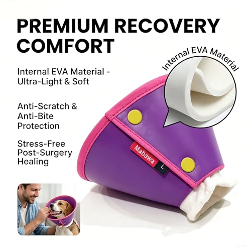 Soft Dog Cone Collar for Dogs & Cats (Purple / XS)