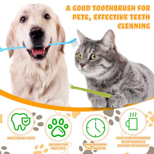 80 count Dual Headed Pet Toothbrush Bulk for Small Medium Dog