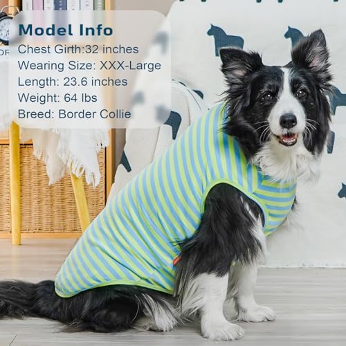 2Pack Cotton Dog Shirt for Medium Large Dogs Soft Striped Tank Top (XX-Large (40-55lbs) / 06# 2Pack (Blue+Striped))