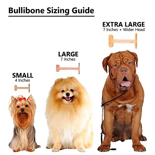 Nylon Dog Chew Toy for Aggressive Chewers (Small - 3 Pack)