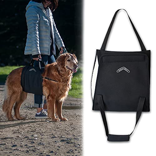 Walkabelly Support Sling (Small)
