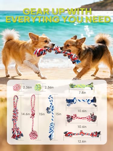 Dog Rope Toy 9 Pack (Blue / Mini/Small)