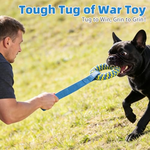 Snuffle Ball for Dogs