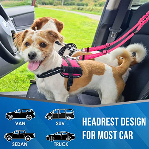 Double Dog Car Seat Belt (Fluorescent Pink)
