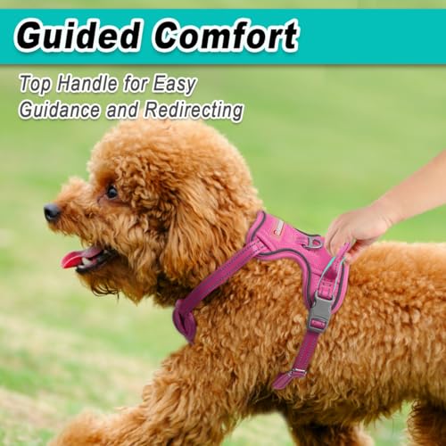 Dog Harness for Small Sized Dog No Pull Mesh 2 Clips Dog Vest (X-Small / Pink-Mesh)