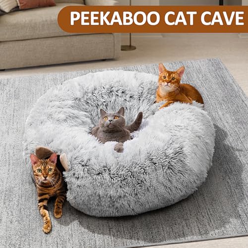 Cat Tunnel with Cat Bed for Indoor Cats (GREY)