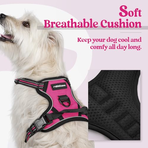 Dog Harness No Pull with 2 Leash Clips (X-Small / Hot Pink)